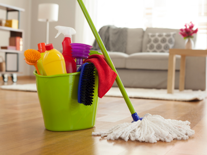 Healthy Growth in the UK Home Cleaning Market for 2024