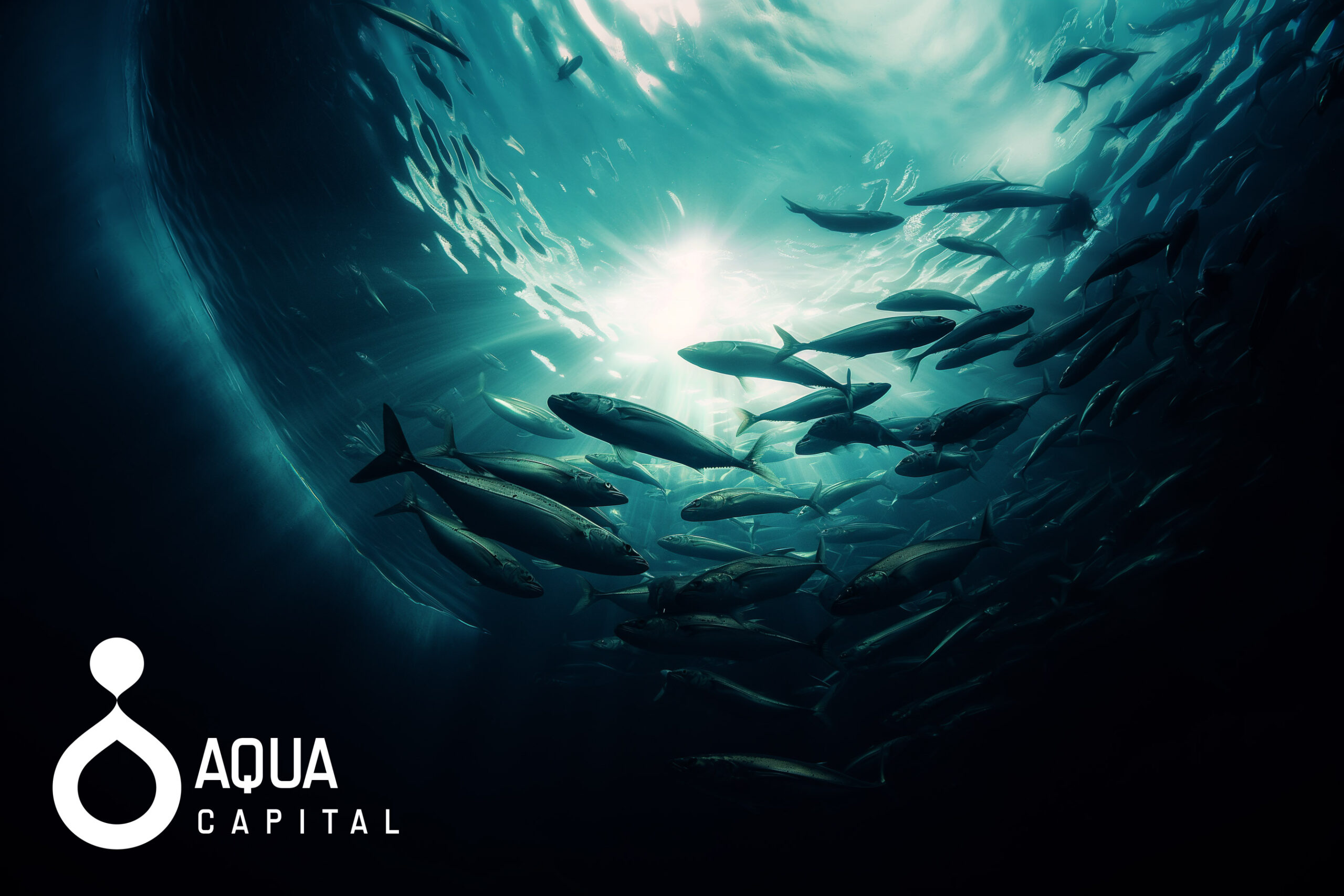 Introducing Aqua Capital: Angel Investors Unite to Propel Aquaculture Innovation